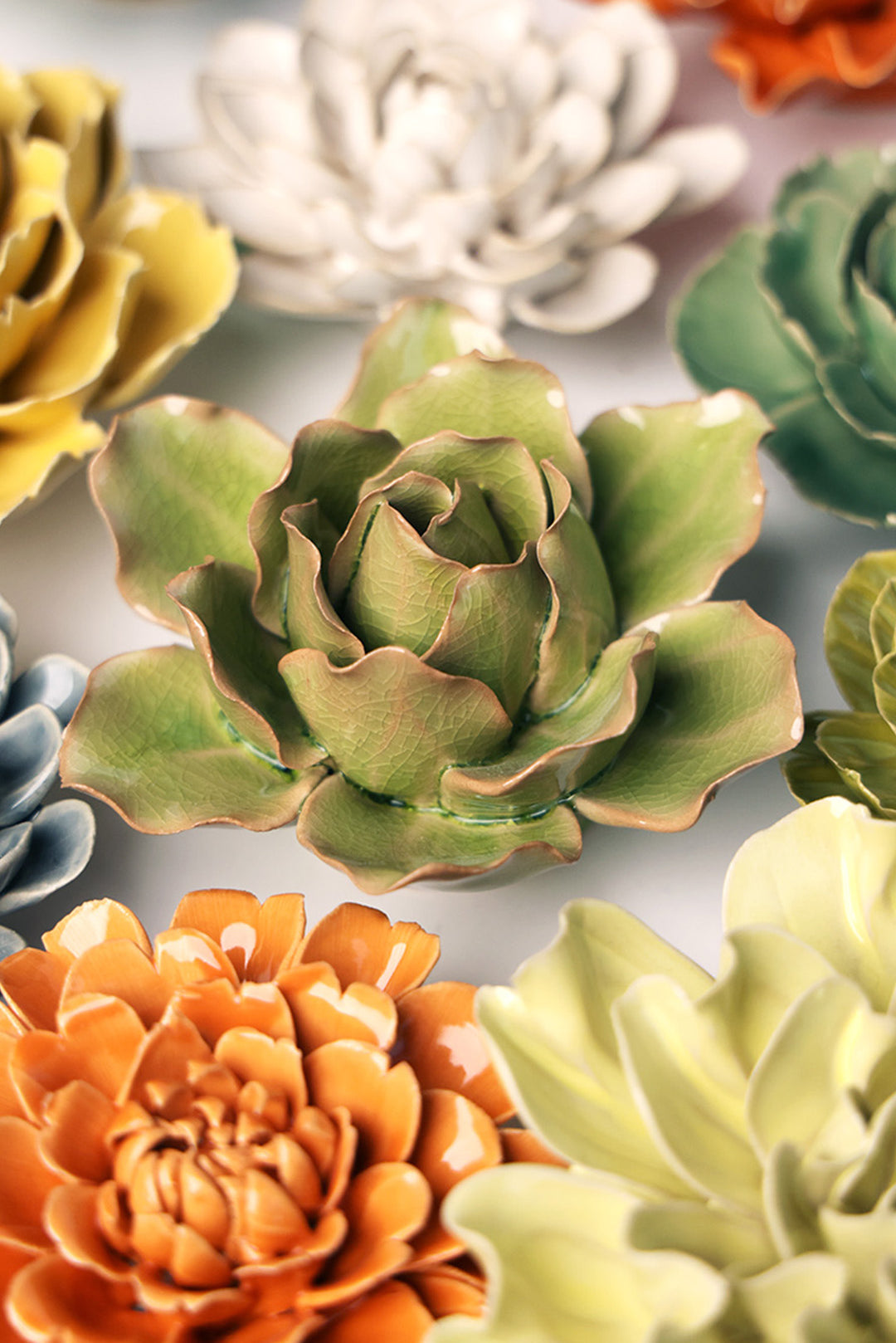 Peridot Stargazer Lily - Chive UK