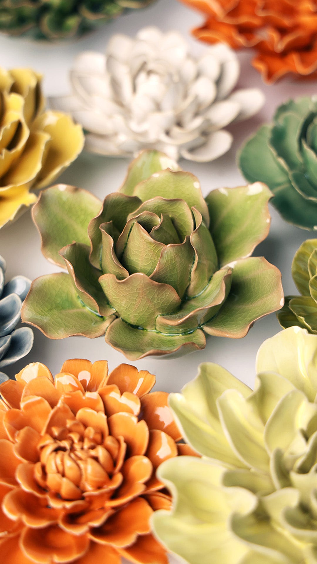 Peridot Stargazer Lily - Chive UK