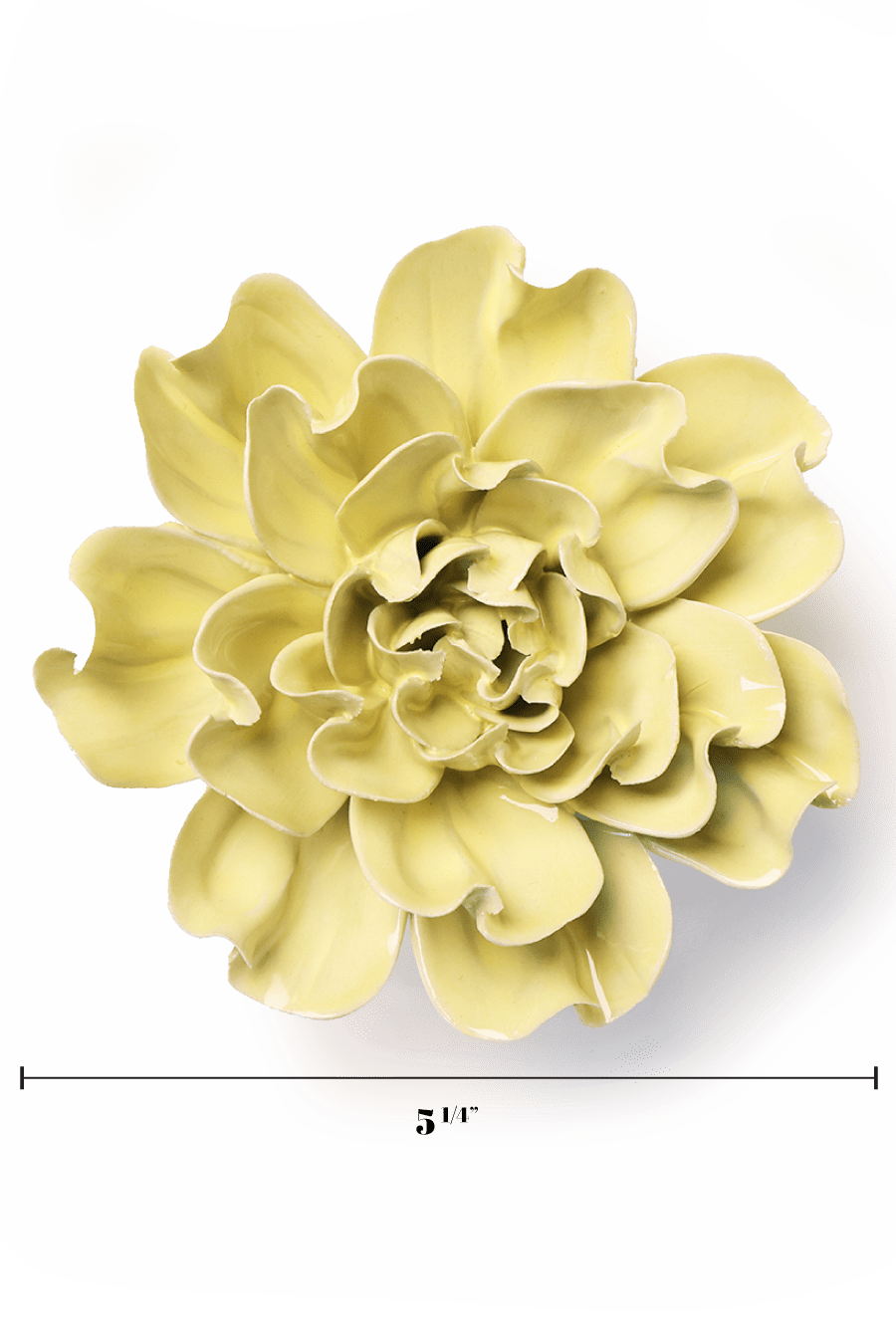 Lime Yellow Larkspur - Chive UK