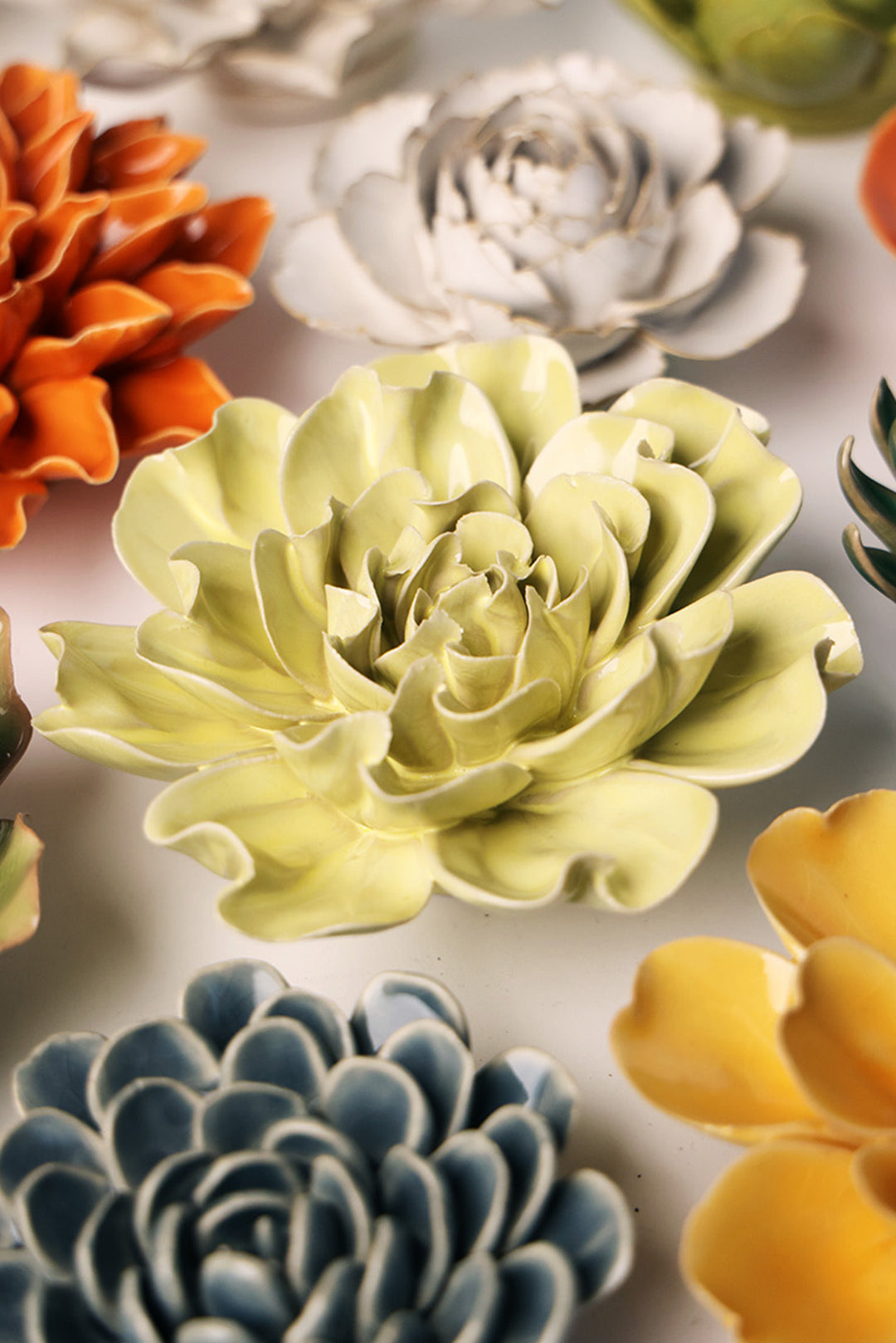 Lime Yellow Larkspur - Chive UK