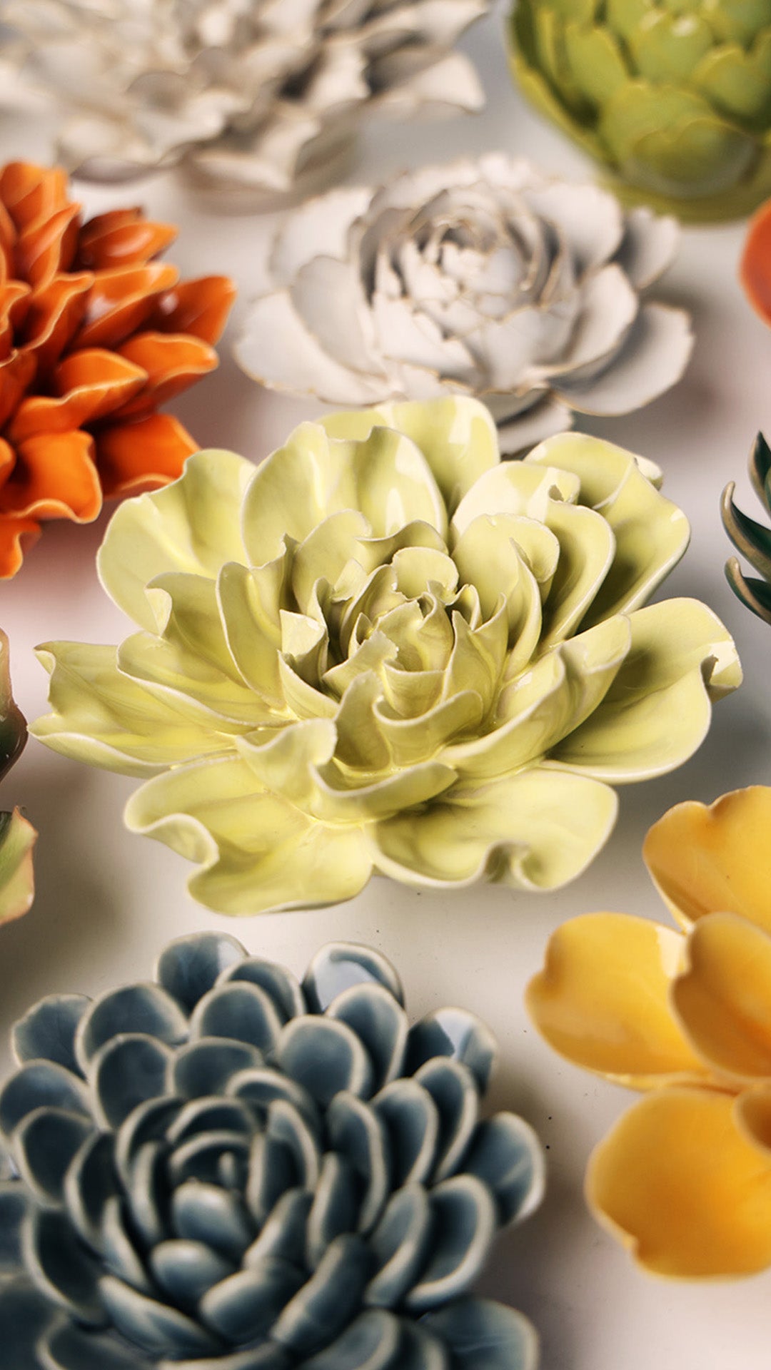 Lime Yellow Larkspur - Chive UK