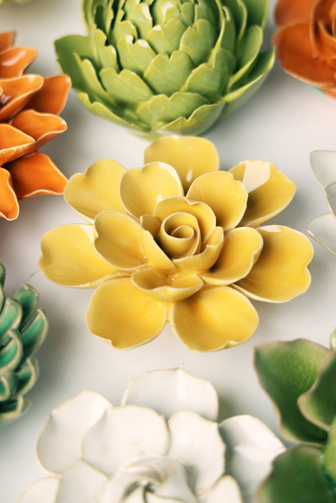 Burnt Yellow Tahitian Gardenia - Chive UK