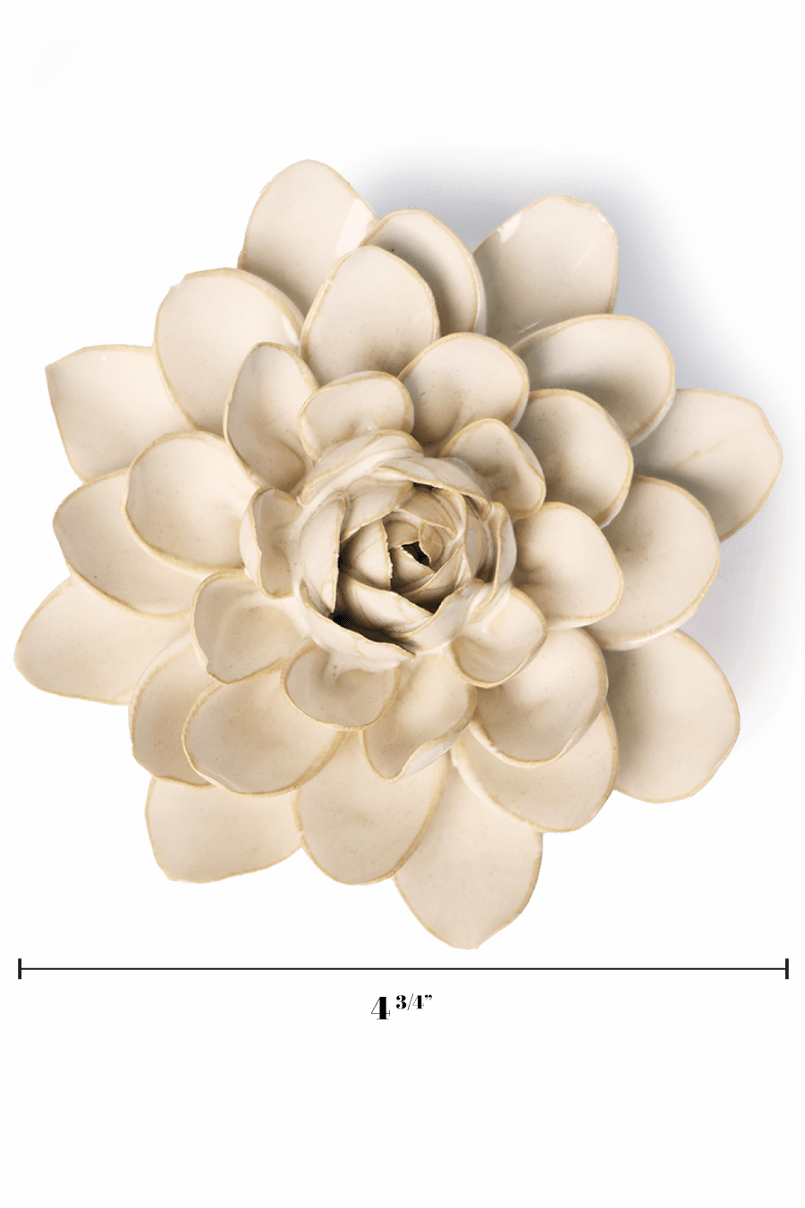 Ivory Snowdrop - Chive UK
