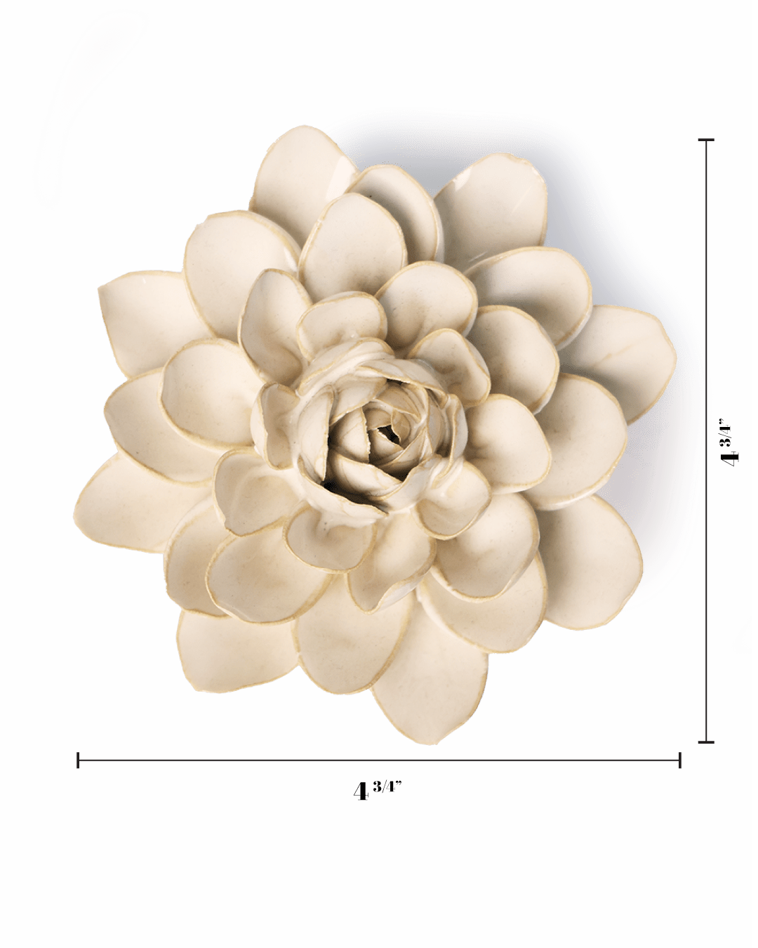 Ivory Snowdrop - Chive UK