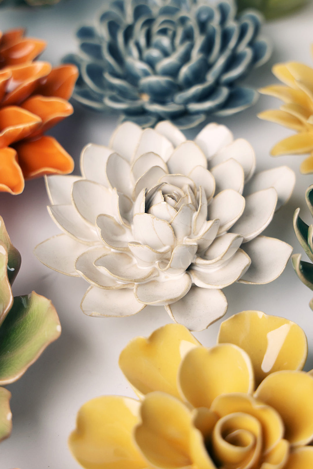 January Birth Flower - Snowdrop - Chive UK