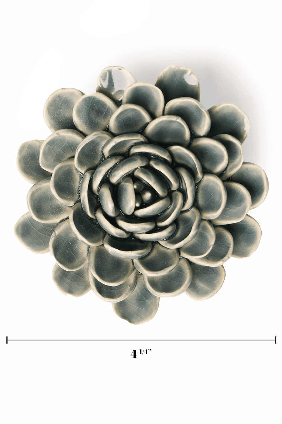 Pewter Blue Zinderella Zinnia - Chive UK