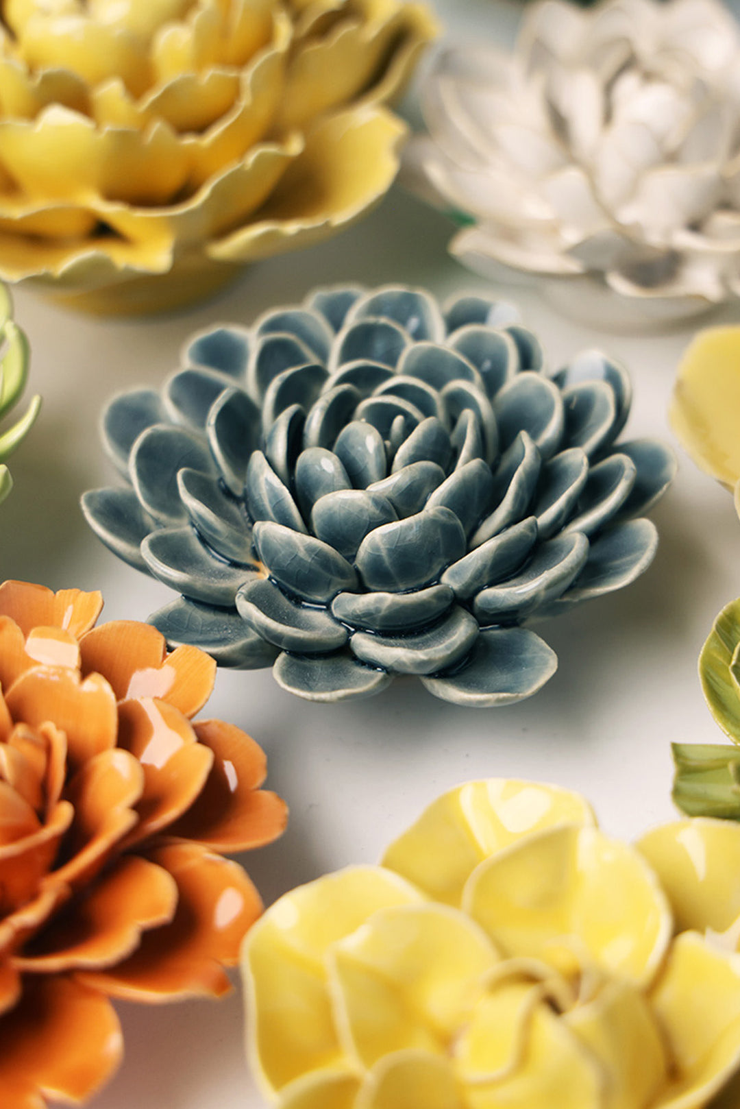 Pewter Blue Zinderella Zinnia - Chive UK