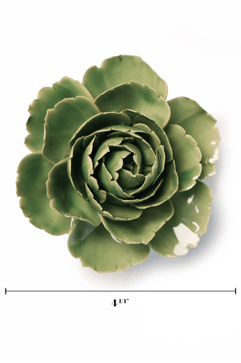 Jade Green English Rose - Chive UK
