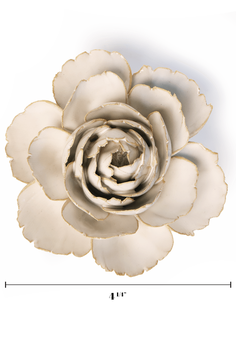 Ivory English Rose - Chive UK