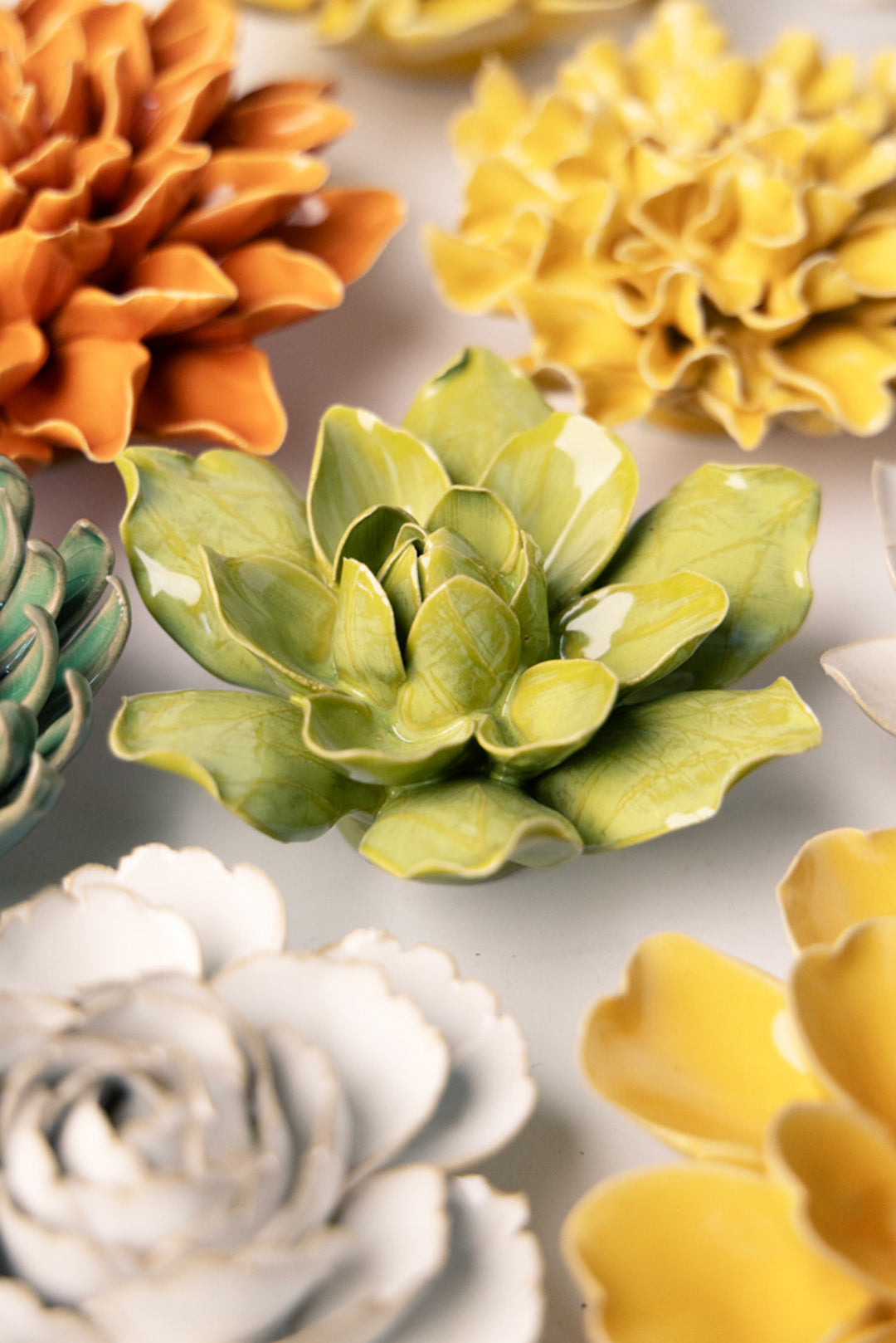 Chartreuse Columbine - Chive UK