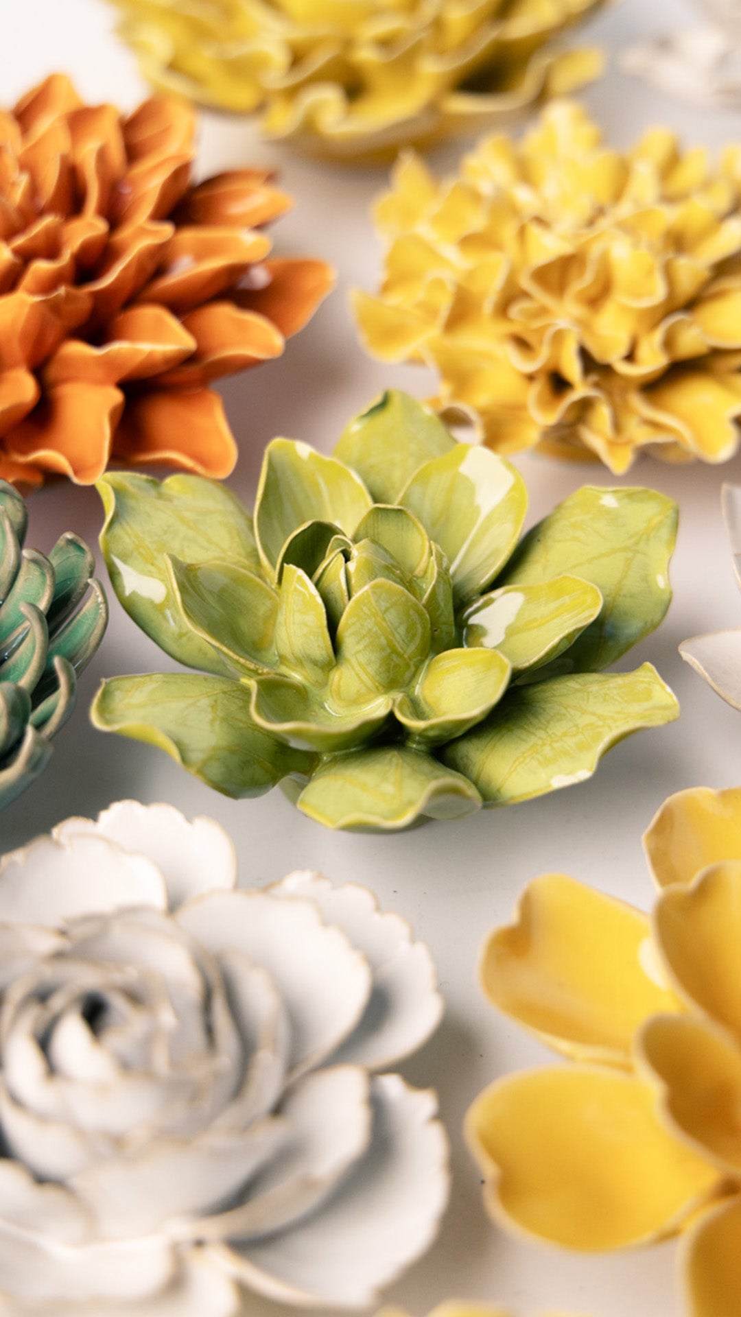 Chartreuse Columbine - Chive UK