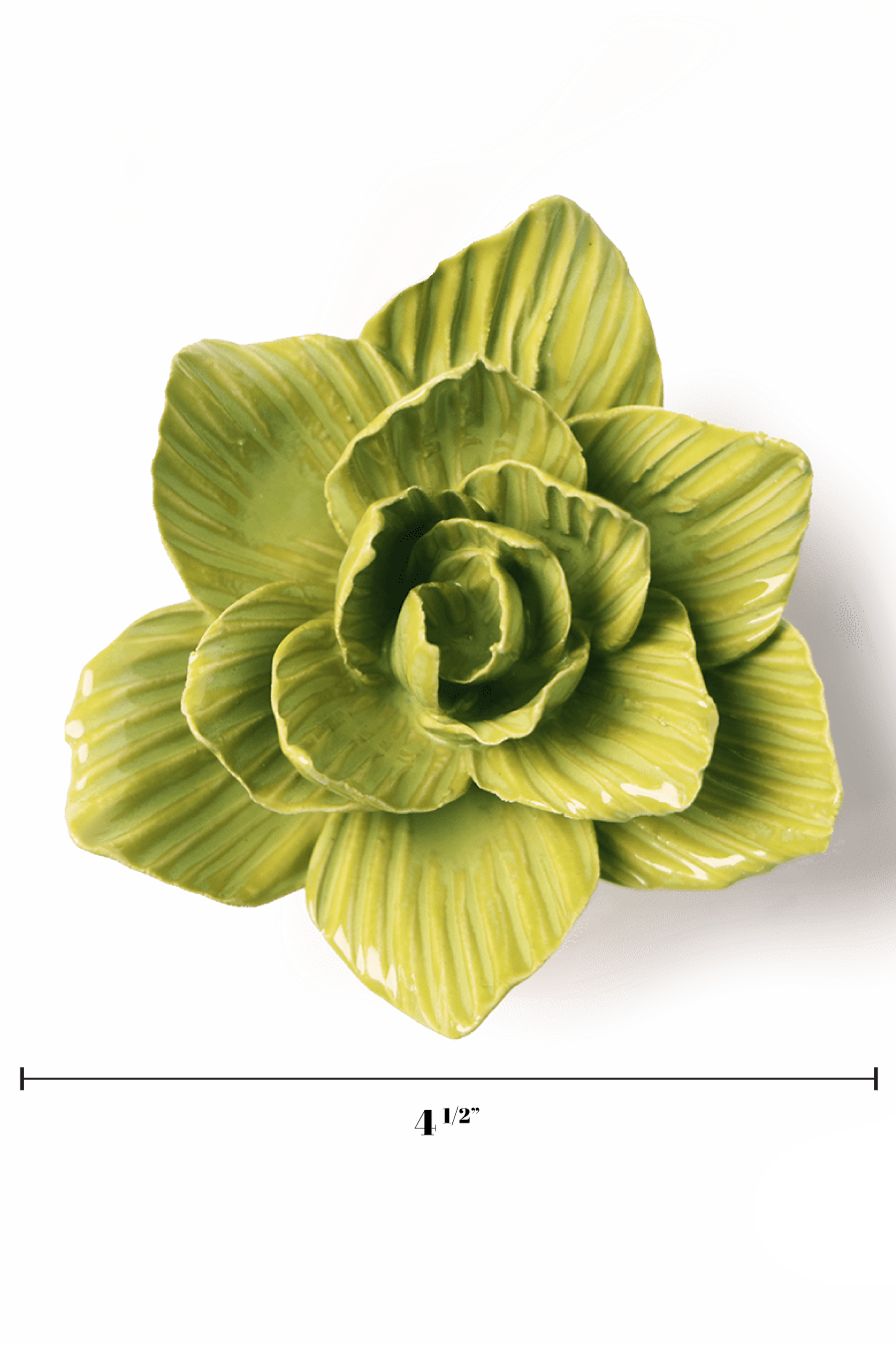 Chartreuse Gladiolus - Chive UK