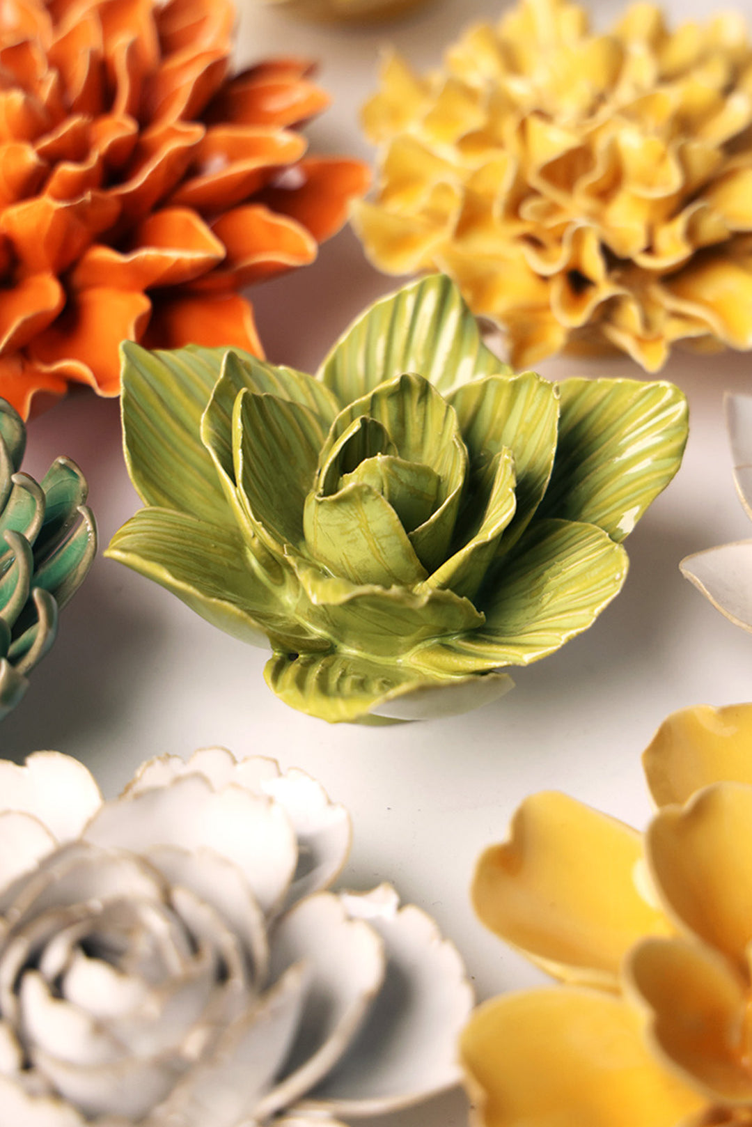 Chartreuse Gladiolus - Chive UK