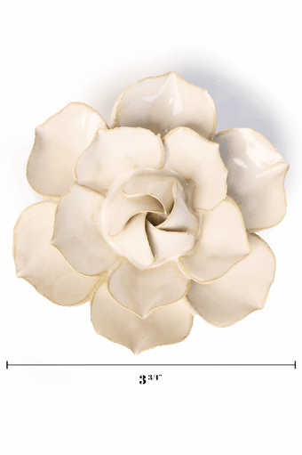Ivory Daffodil - Chive UK