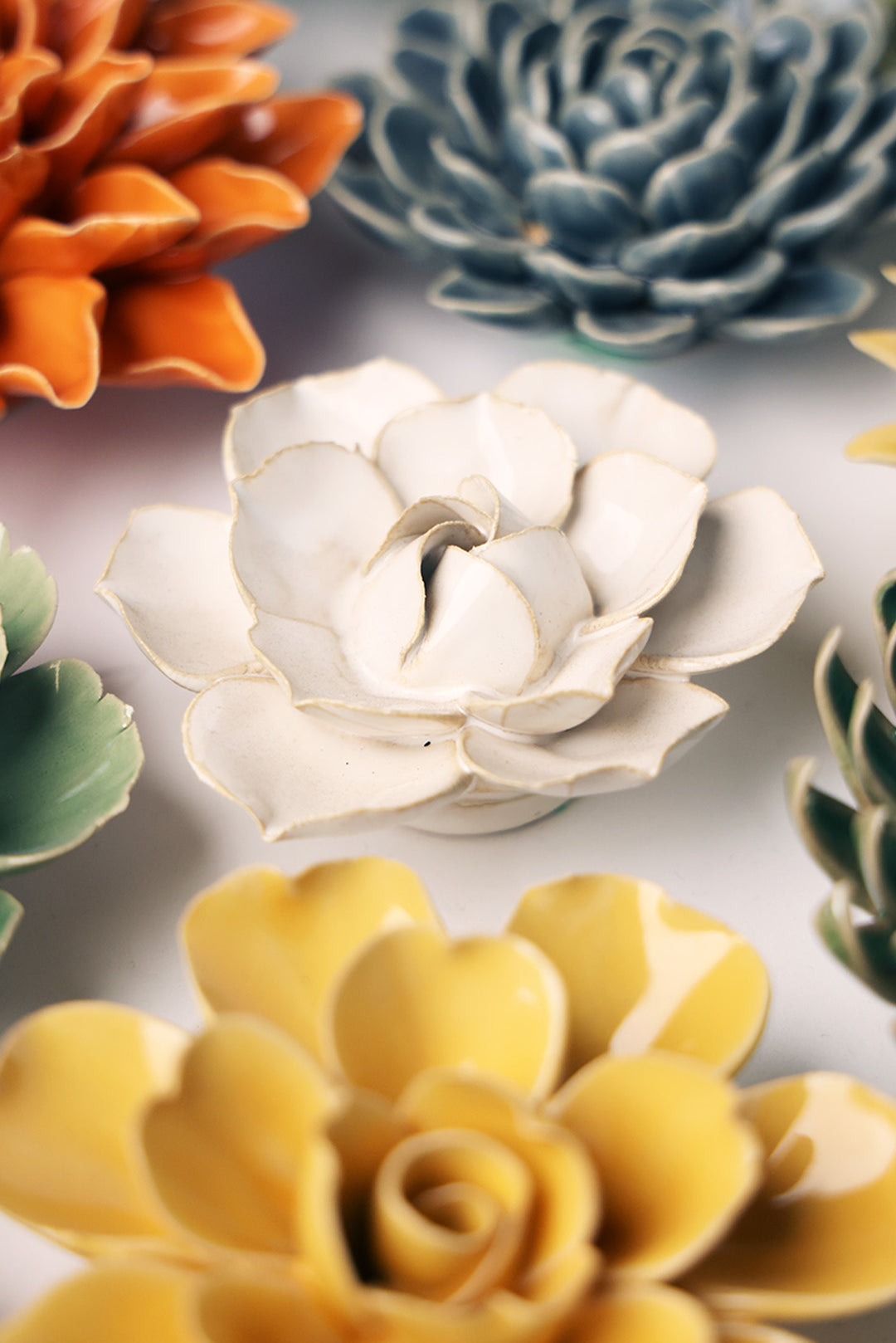 Ivory Daffodil - Chive UK