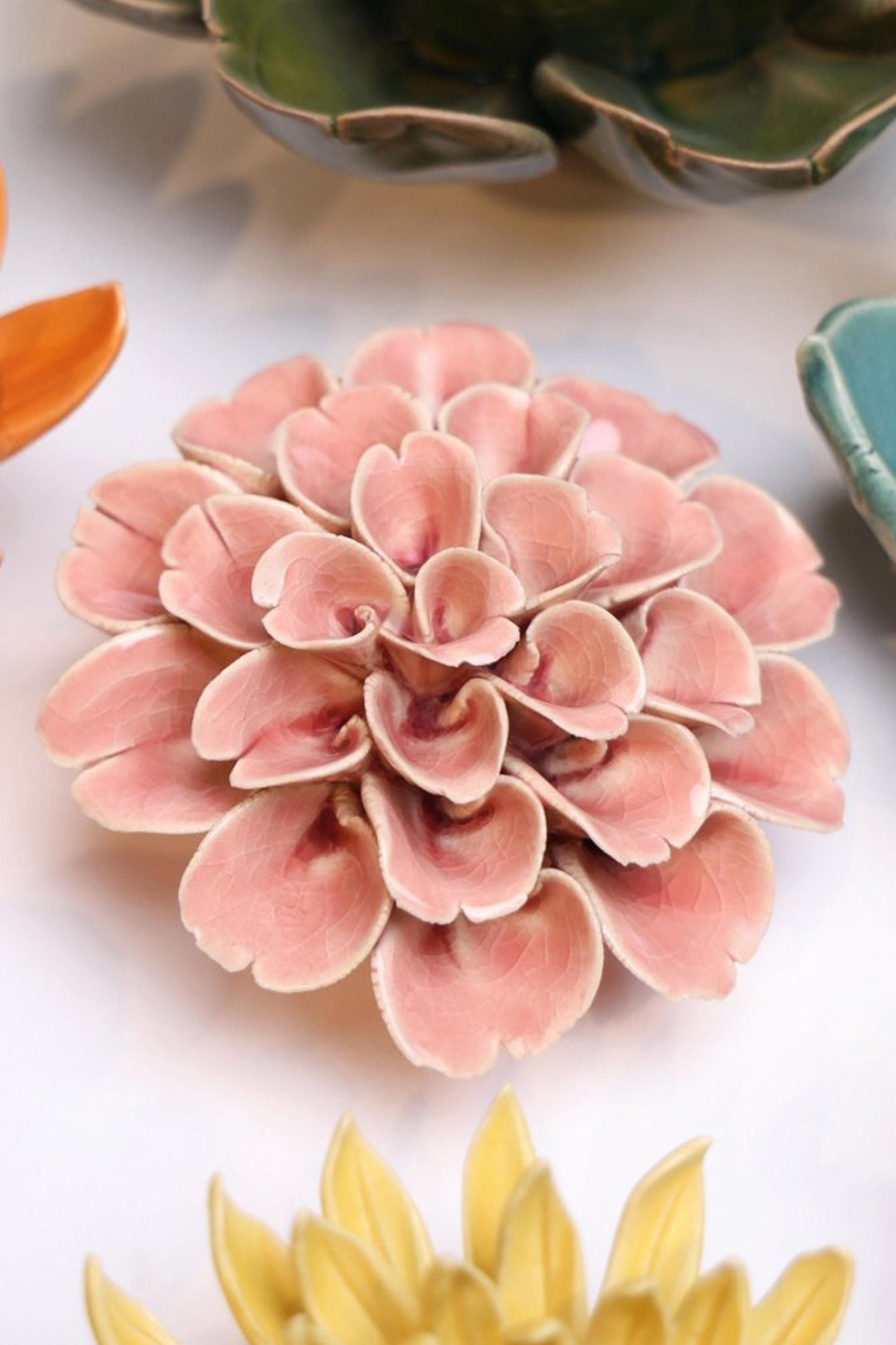 Champagne Pink Hydrangea - Chive UK