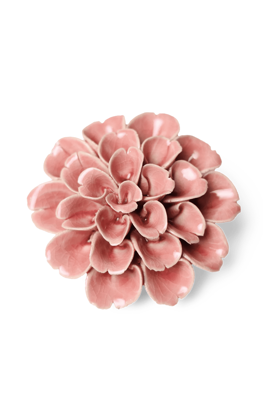 Champagne Pink Hydrangea - Chive UK