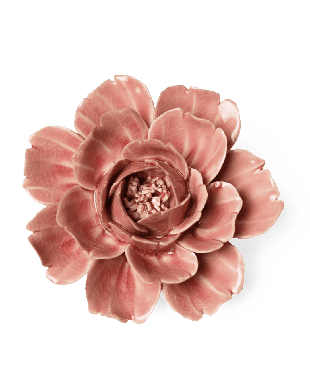 English Garden Champagne Pink Rose - Chive UK