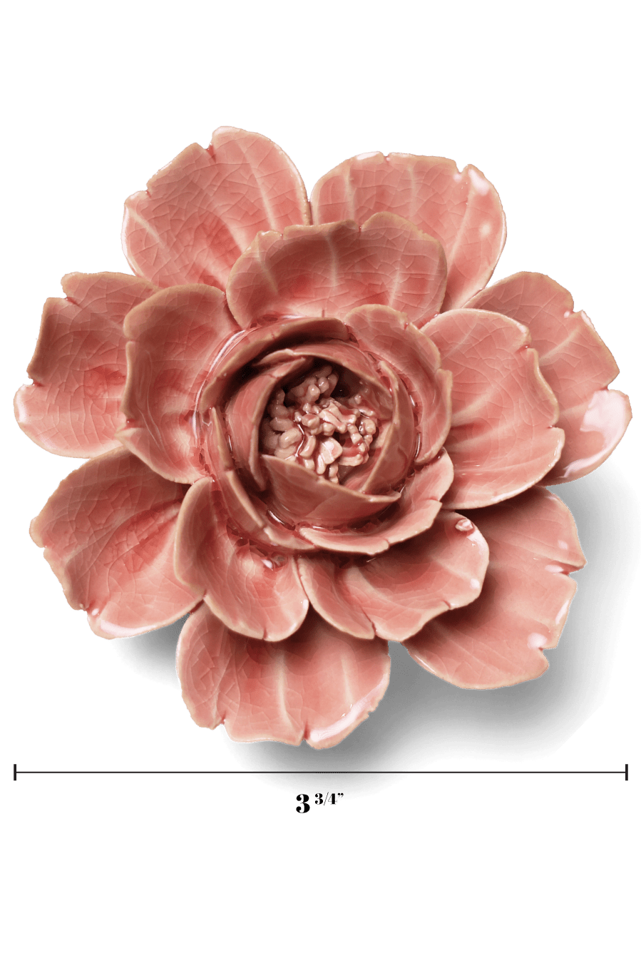 English Garden Champagne Pink Rose - Chive UK