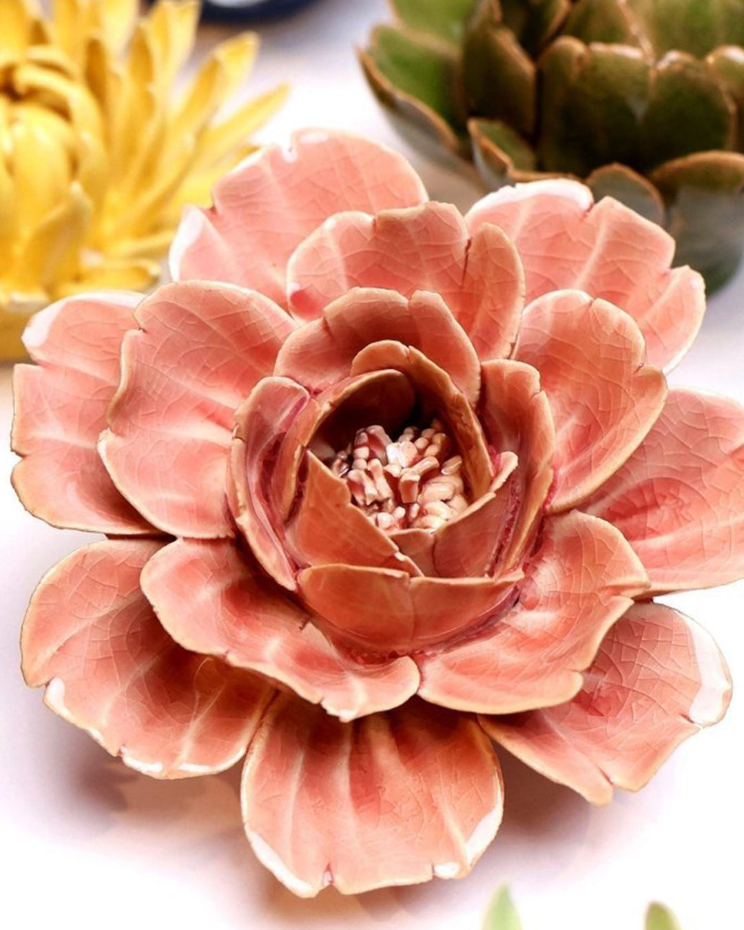 Champagne Pink Rose - Chive UK