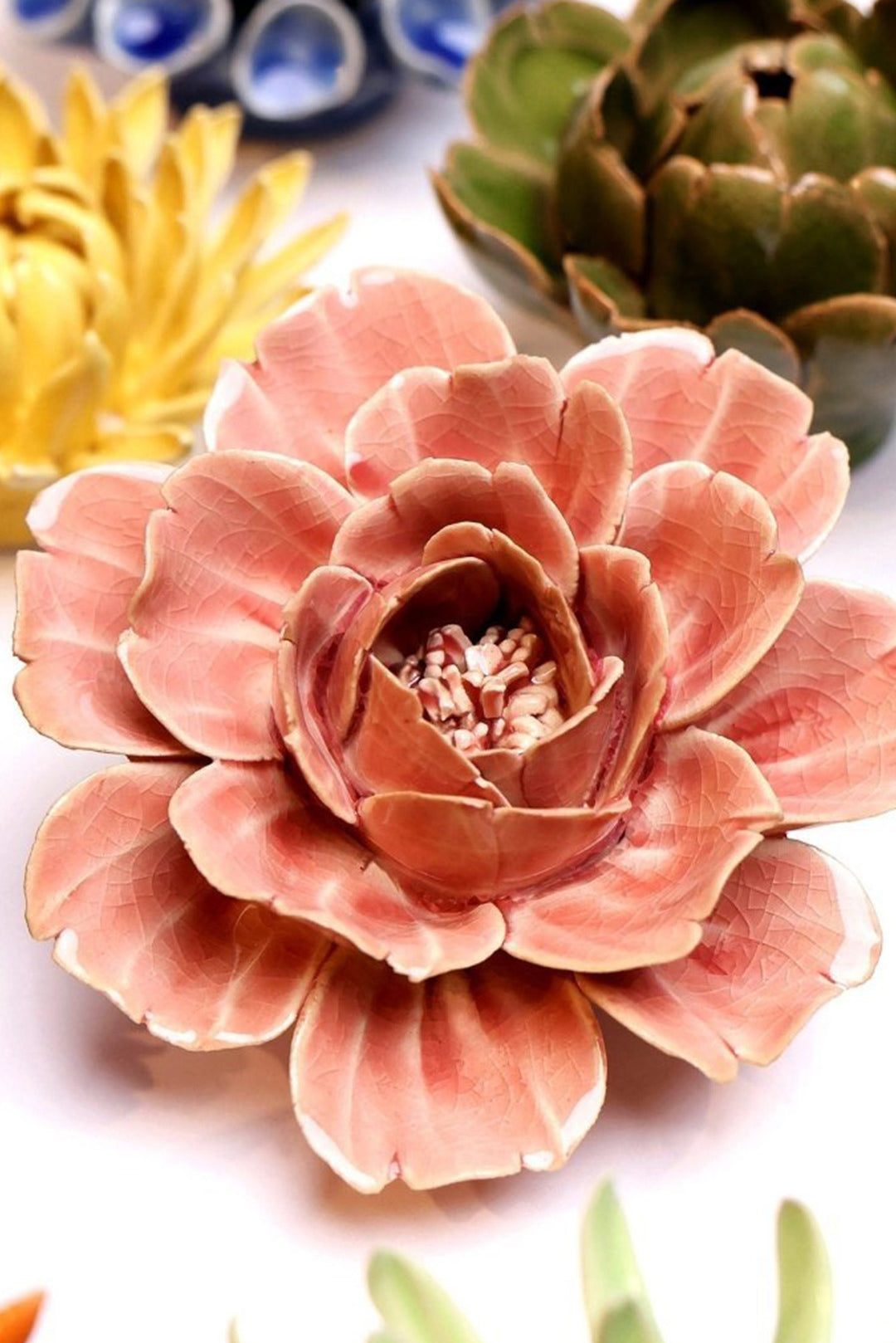 Champagne Pink Rose - Chive UK