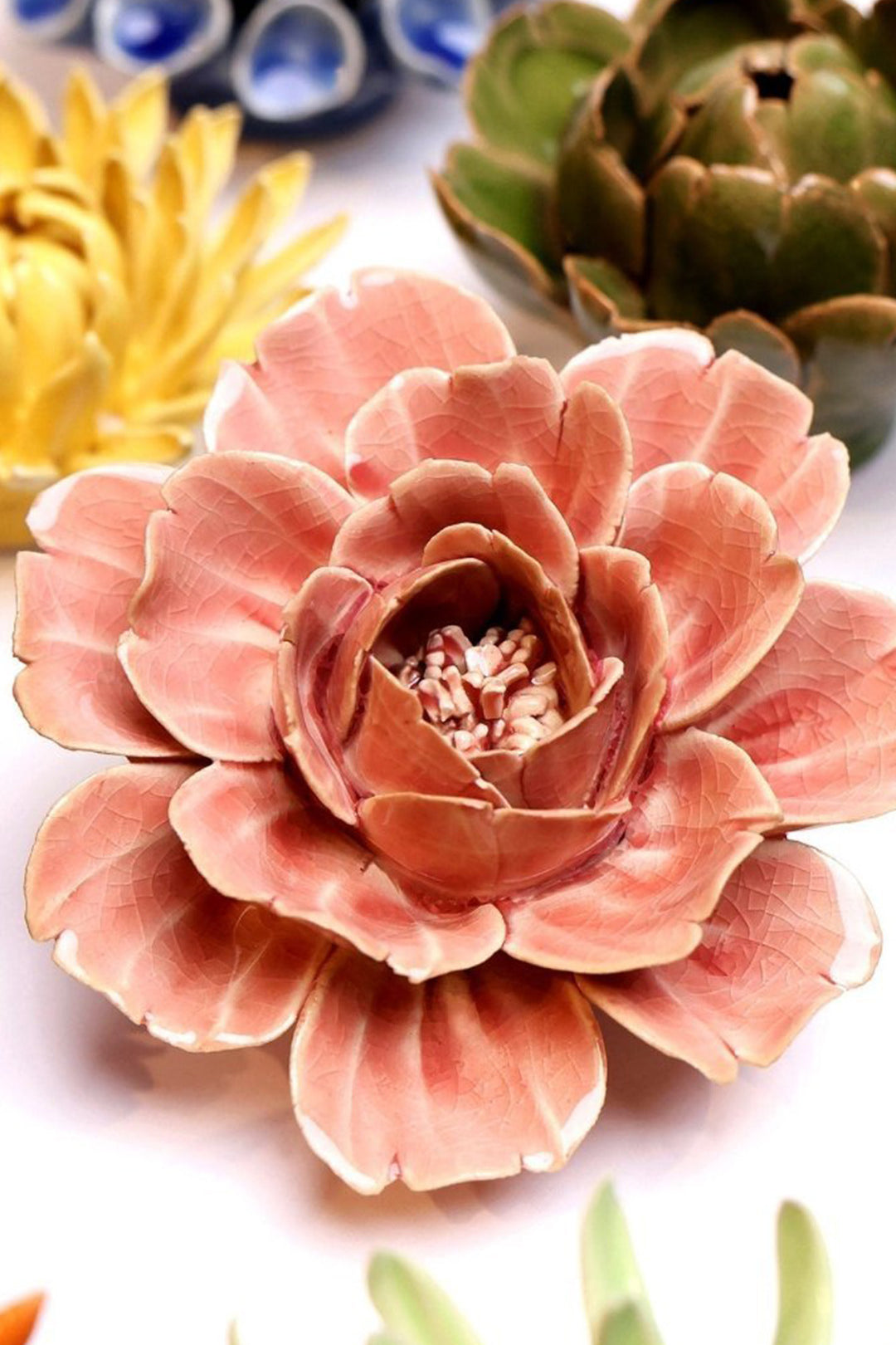Champagne Pink Rose - Chive UK