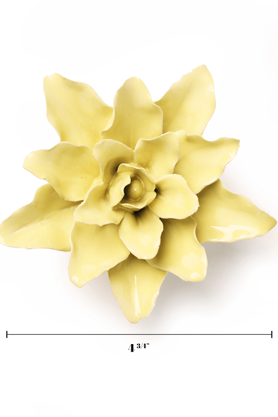 English Garden Lime Yellow Tiger Lily - Chive UK