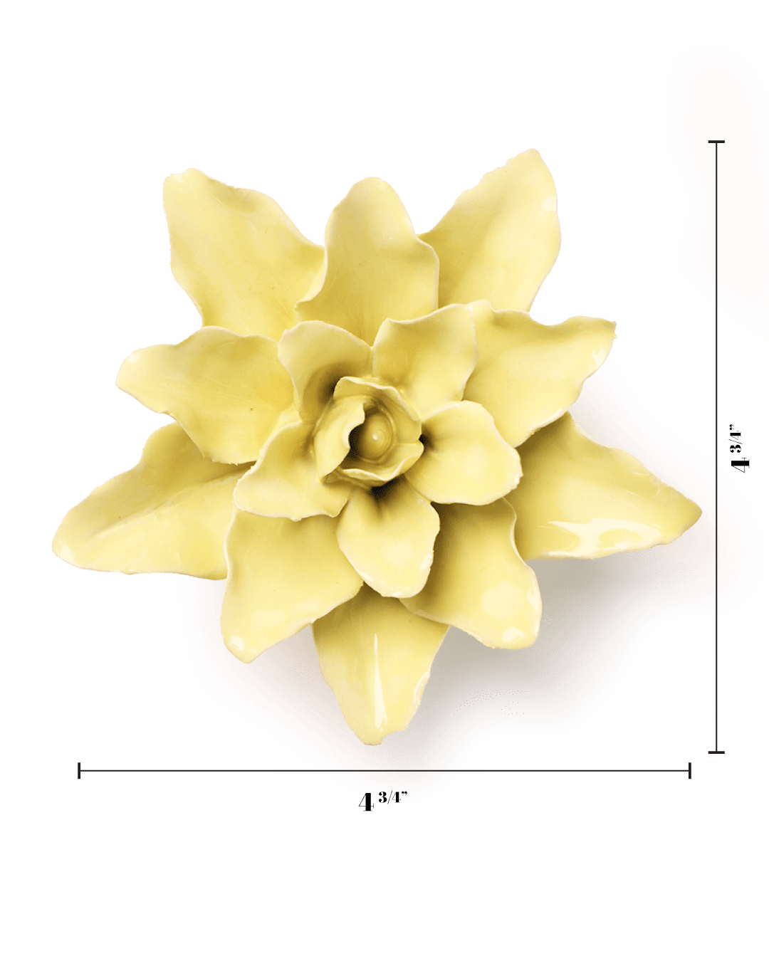 English Garden Lime Yellow Tiger Lily - Chive UK