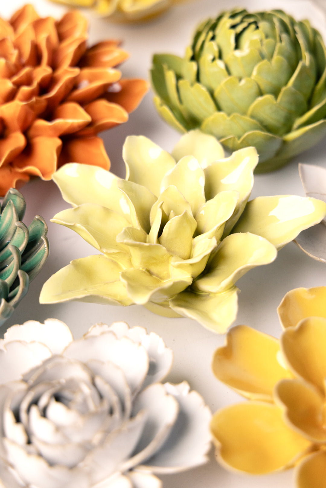 Lime Yellow Tiger Lily - Chive UK