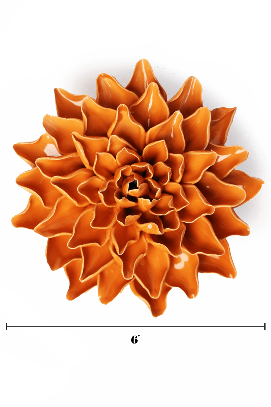 English Garden Orange Autumn Azalea - Chive UK