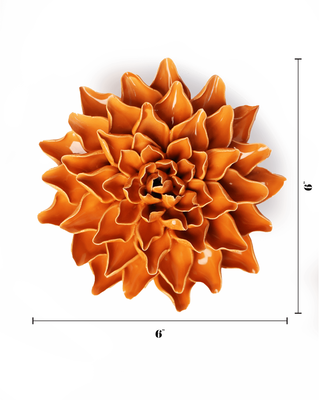 English Garden Orange Autumn Azalea - Chive UK