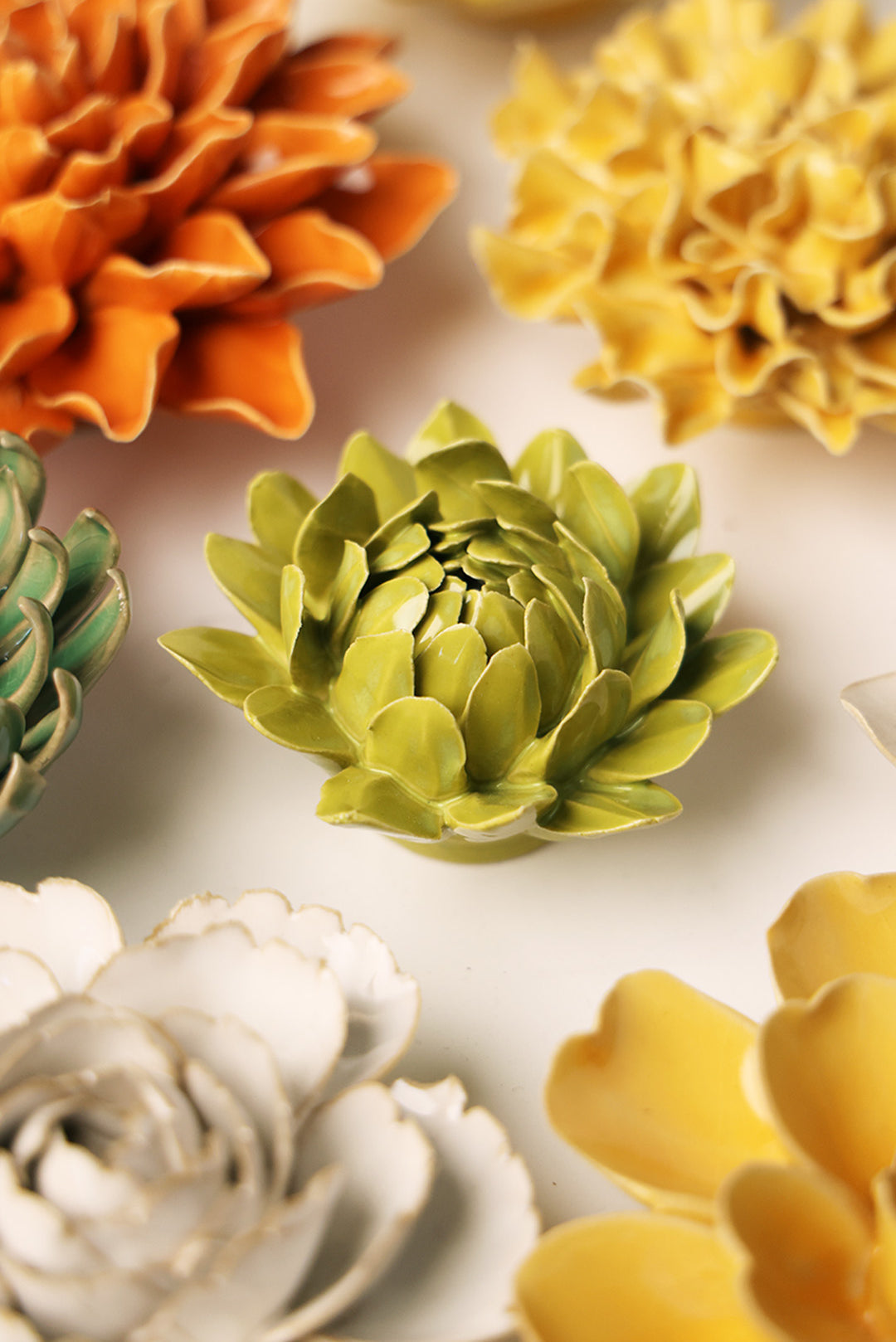 Chartreuse Sugarbush Protea - Chive UK