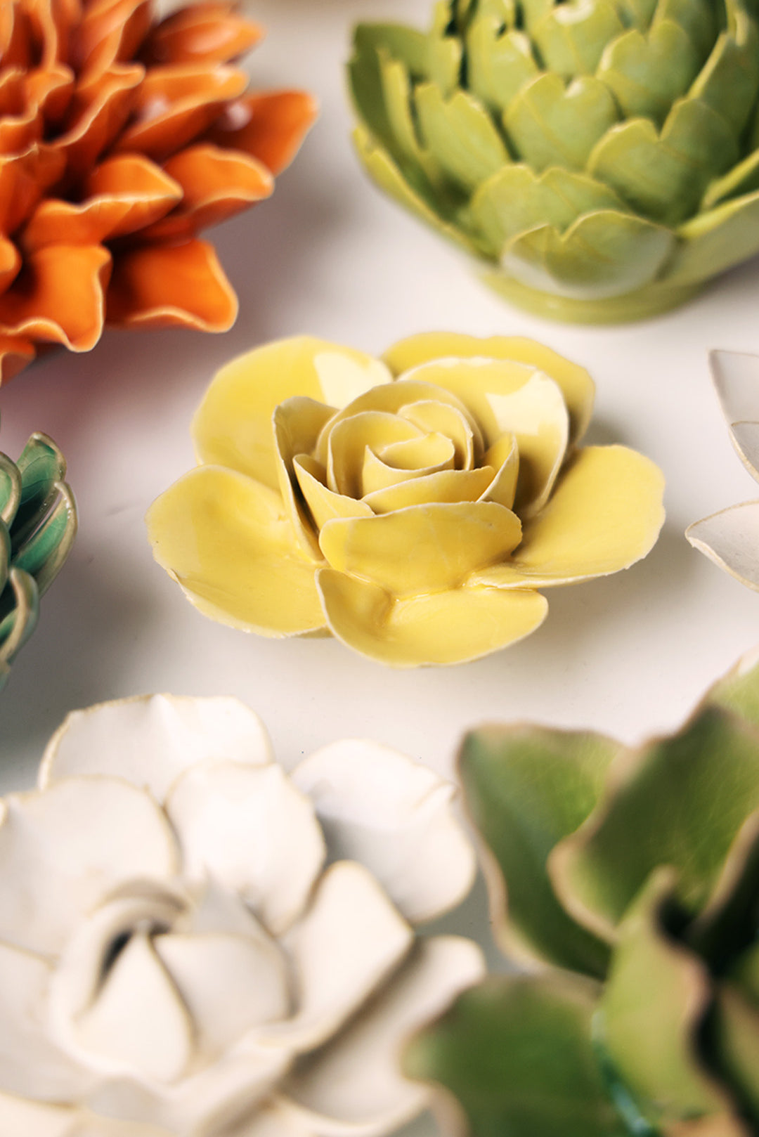 Buttercup Yellow Elegance Ranunculus - Chive UK