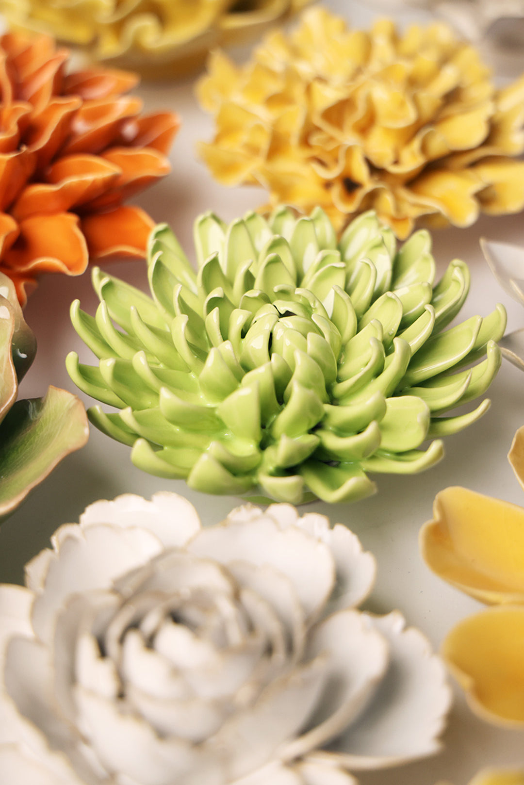 Yellow Green Pompom Mum - Chive UK