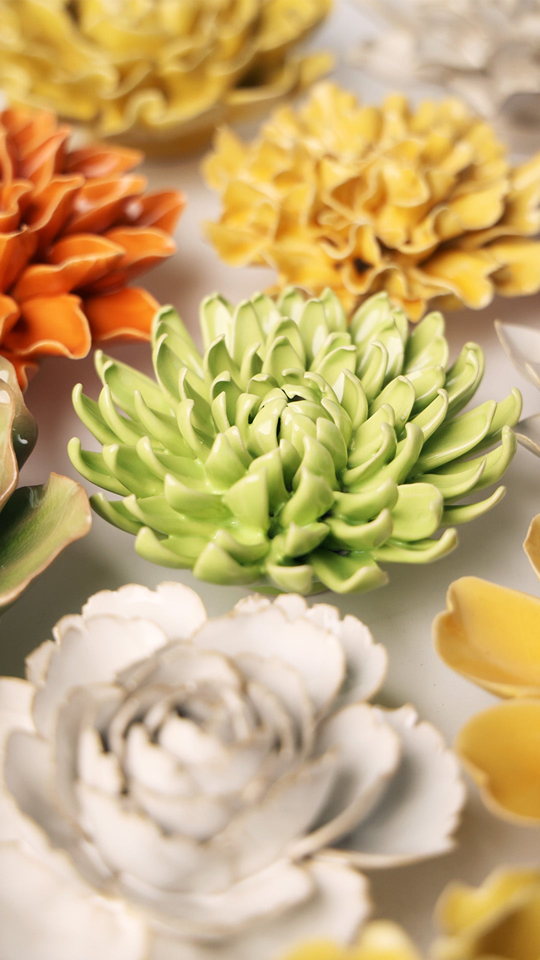 Yellow Green Pompom Mum - Chive UK