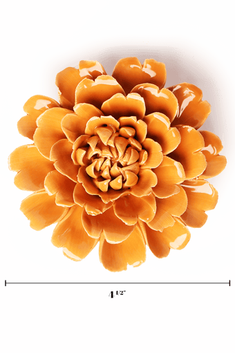 English Garden Orange Fiesta Marigold - Chive UK