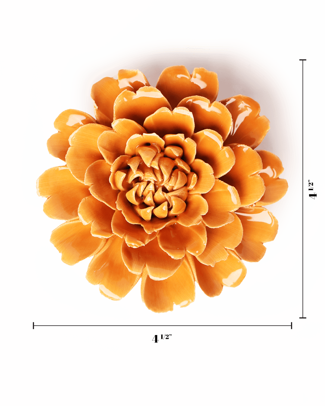 English Garden Orange Fiesta Marigold - Chive UK