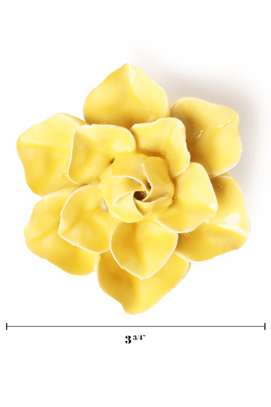 English Garden Buttercup Yellow Daffodil - Chive UK