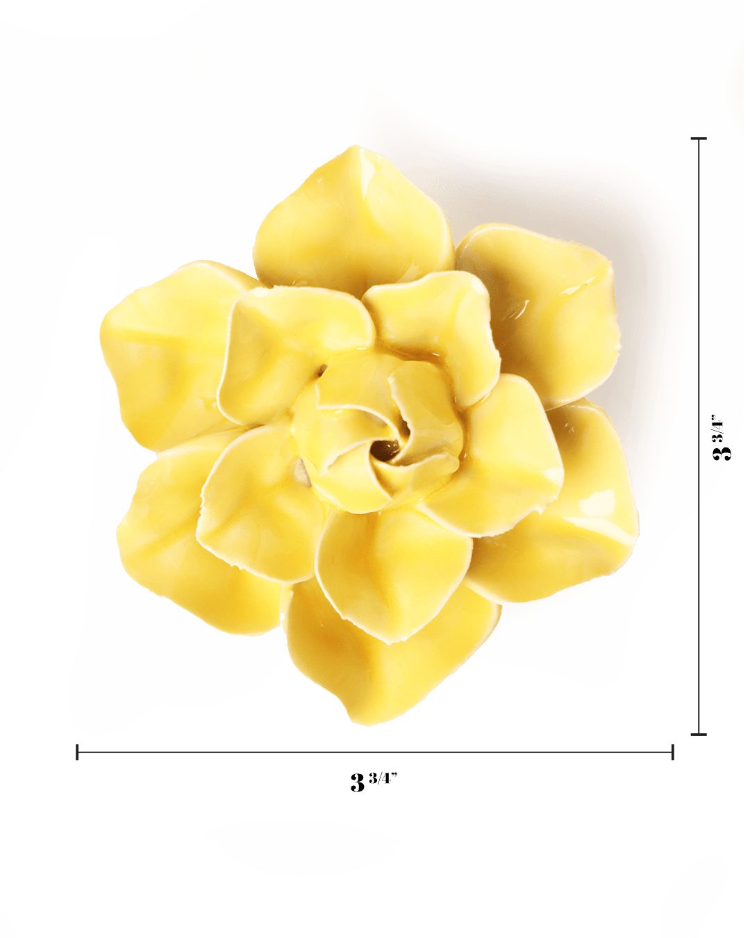 English Garden Buttercup Yellow Daffodil - Chive UK