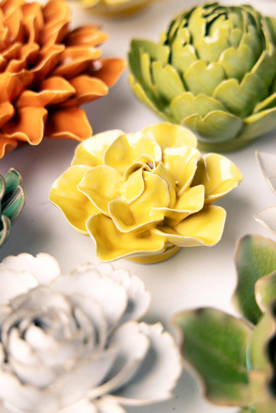 March Birth Flower - Daffodil - Chive UK