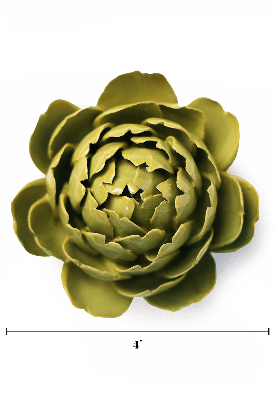English Garden Chartreuse Queen Protea - Chive UK