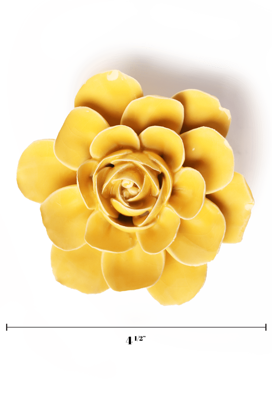 English Garden Burnt Yellow Begonia - Chive UK