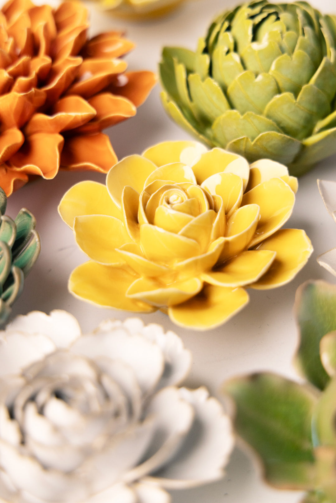 Burnt Yellow Begonia - Chive UK