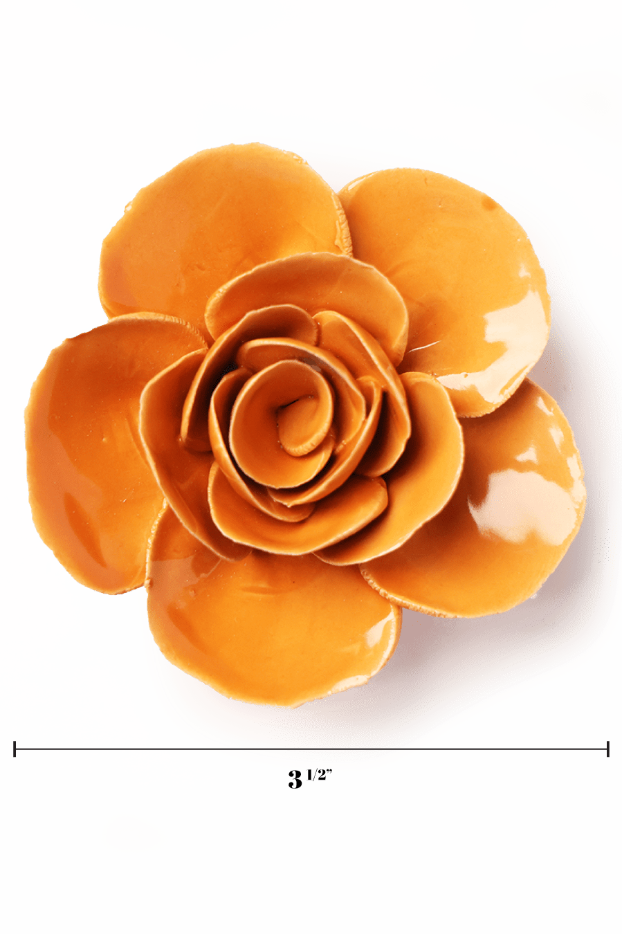 English Garden Orange Elegance Ranunculus - Chive UK