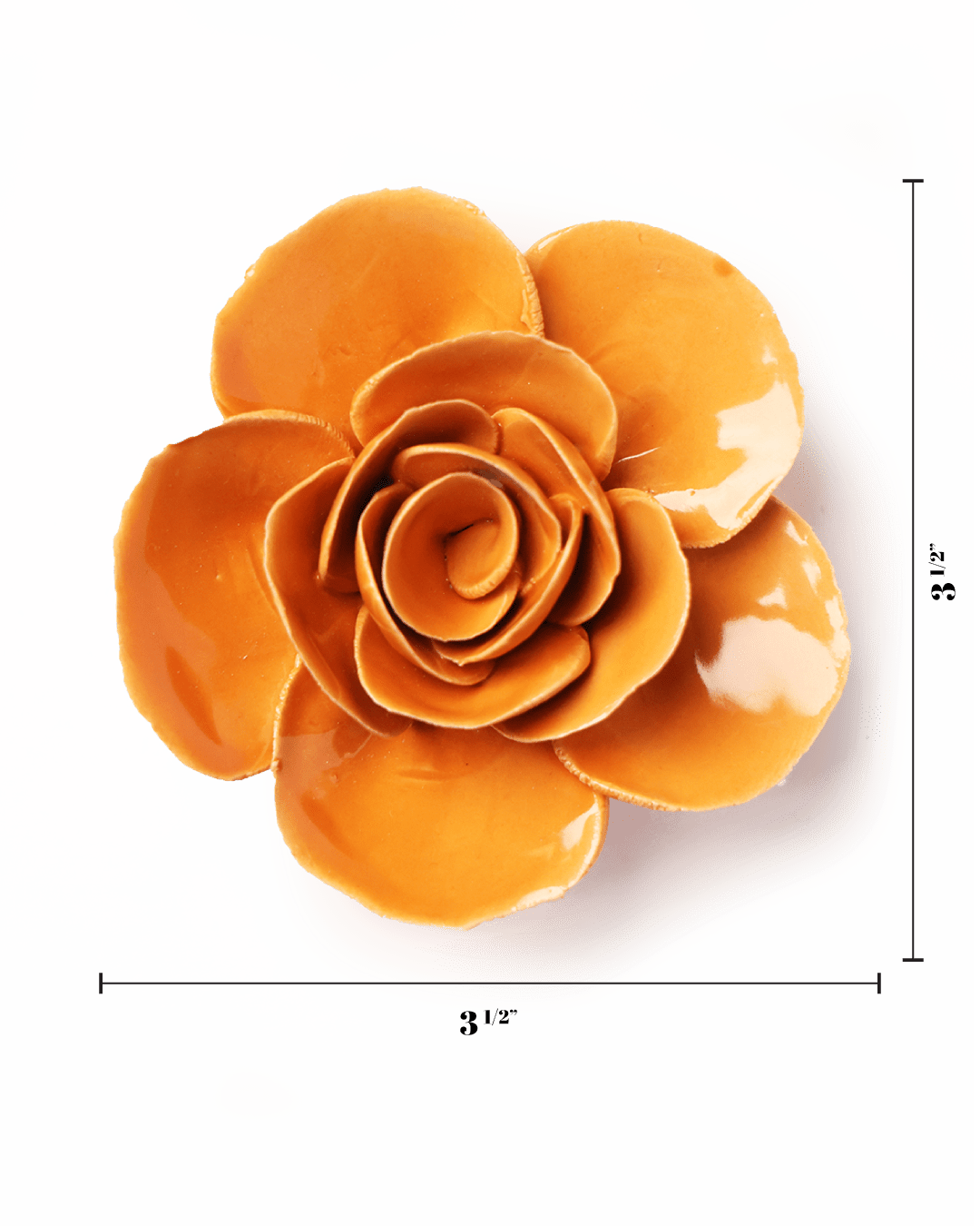 English Garden Orange Elegance Ranunculus - Chive UK