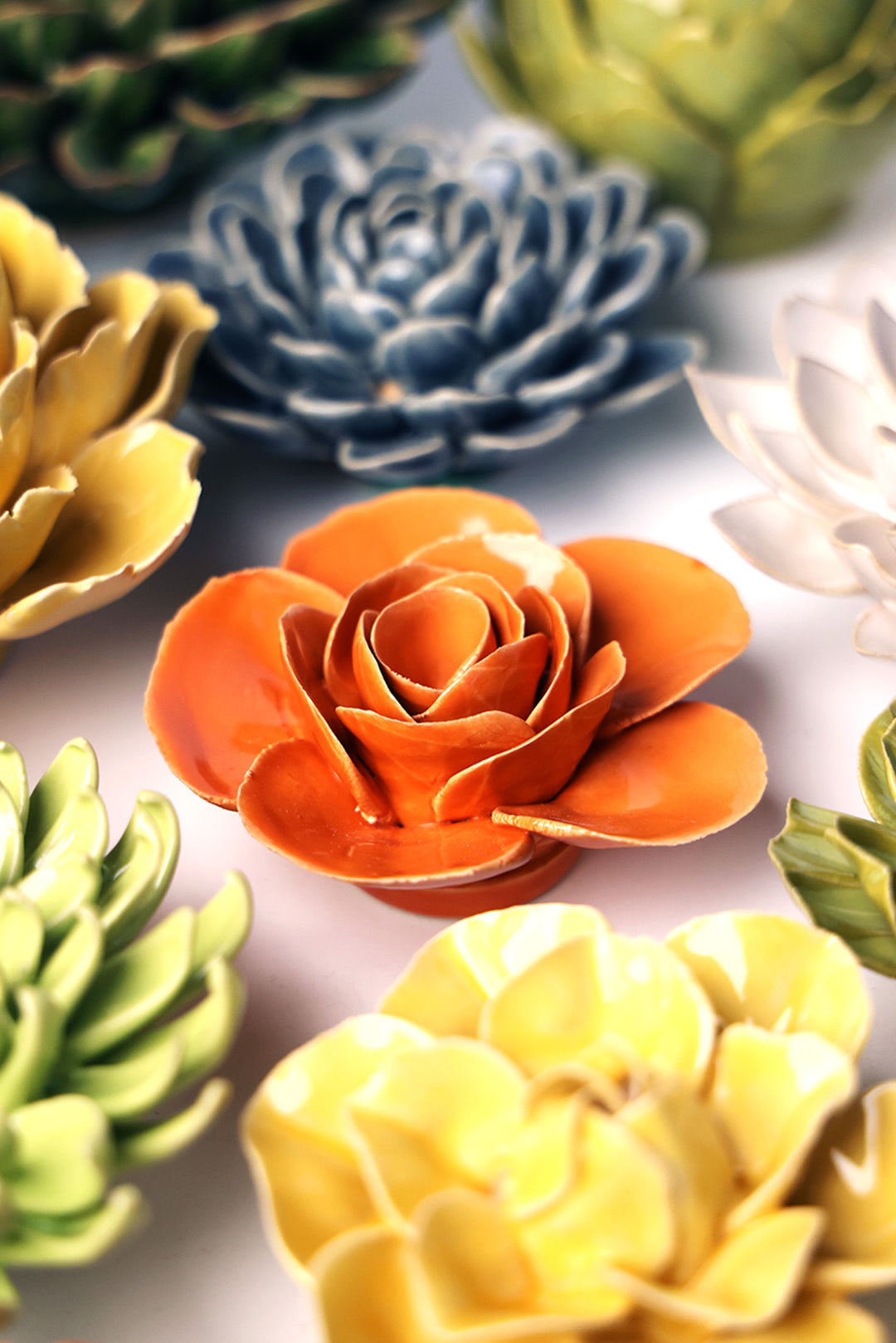 Orange Elegance Ranunculus - Chive UK