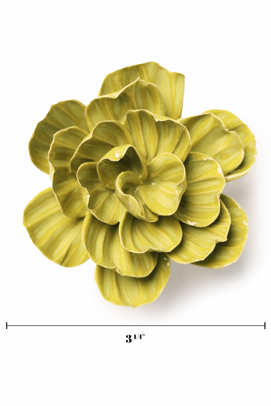 English Garden Chartreuse Primrose - Chive UK