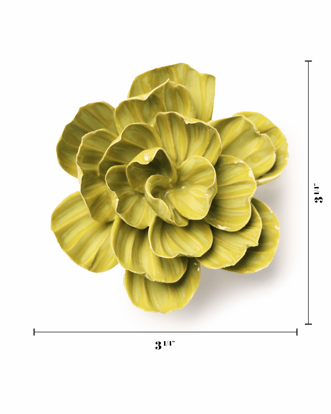 English Garden Chartreuse Primrose - Chive UK