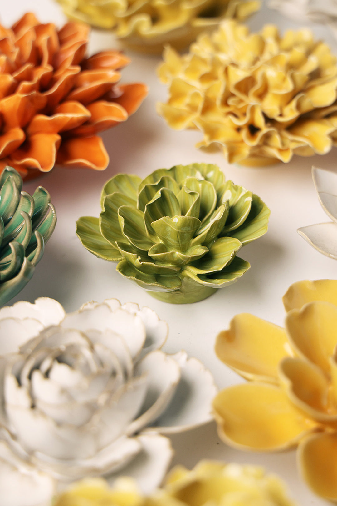 February Birth Flower - Primrose - Chive UK