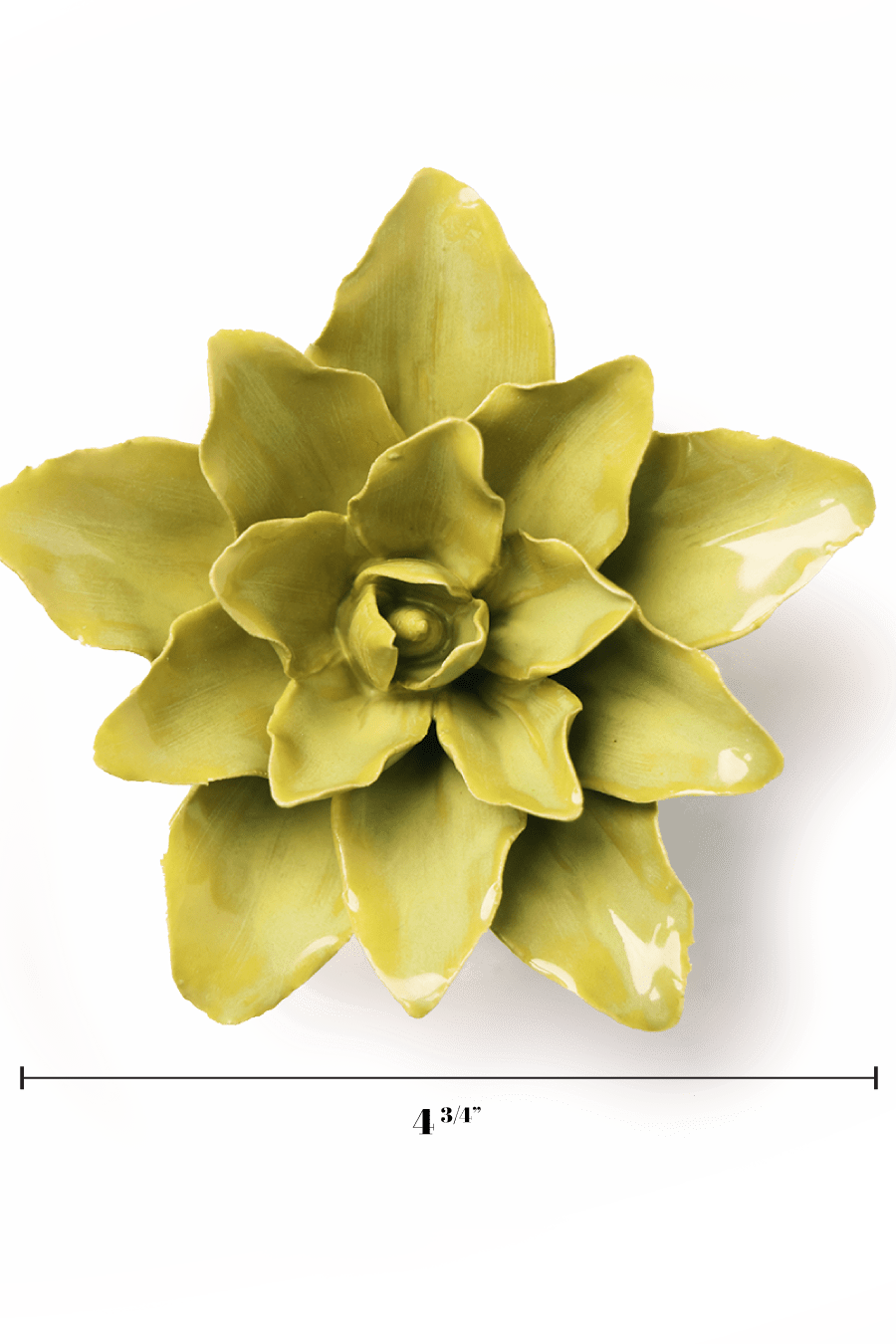 English Garden Chartreuse Tiger Lily - Chive UK